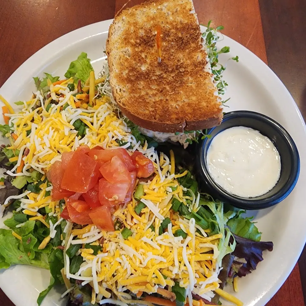 Sandwich and Salad